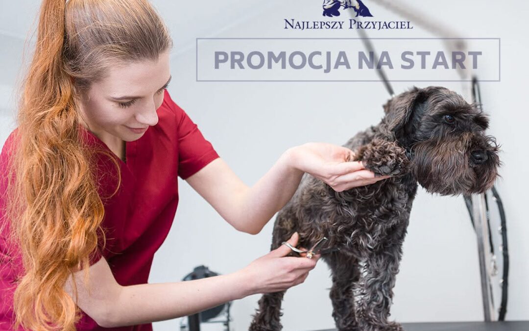 Nasz salon piękności wystartował!