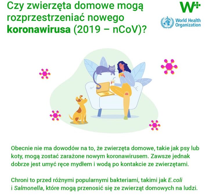 Aktualności z gabinetu
